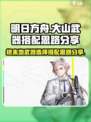 明日方舟终末地大山武器怎么选介绍