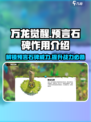 万龙觉醒🔥预言石碑作用全解！游戏中必备神器✨