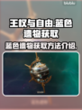 王权与自由🔥蓝色遗物获取全攻略💎