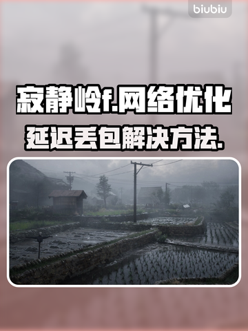 《寂静岭F》延迟丢包？❌教你轻松解决🔥截图1