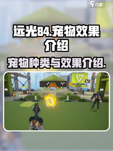 远光84宠物大揭秘💥，游戏党必看！🐾截图1