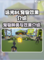 远光84宠物大揭秘💥，游戏党必看！🐾