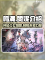鸣潮赞妮是谁介绍