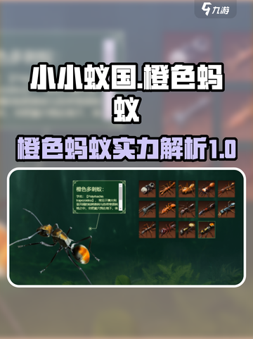小小蚁国橙色蚂蚁推荐介绍截图1