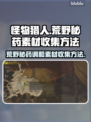 怪物猎人⚡荒野秘药调和素材收集全攻略🔥