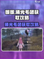 无限暖暖💥曦光毛团获取攻略来啦！✨