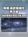 鸣潮拯救世界拯救猫咪任务怎么做介绍
