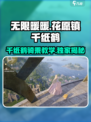 无限暖暖💥花愿镇千纸鹤骑乘攻略✨
