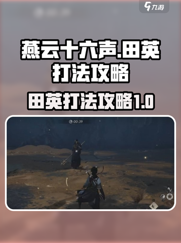 燕云十六声⚡田英打法攻略，轻松制胜🔥截图1