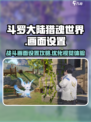 斗罗大陆猎魂世界战斗画面如何调整介绍