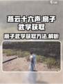 燕云十六声🔥扇子武学获取方法大公开！