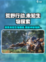 荒野起源未知生物有哪些介绍