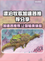漂泊牧歌加速器推荐📖游戏流畅不卡顿⚡