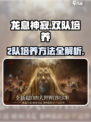 龙息神寂2队培养秘籍🔥助你称霸游戏✨