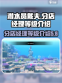 潜水员戴夫分店经理等级介绍介绍