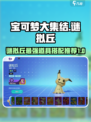 宝可梦大集结谜拟丘道具佩戴什么介绍