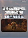 战锤40K黑暗异端上线🔥发售平台大揭秘！🎮