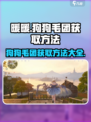 无限暖暖狗狗毛团如何获取介绍