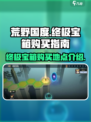荒野国度终极宝箱在哪买介绍