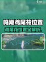 🎮鸣潮鸢尾花位置大公开！速看