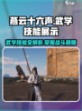 燕云十六声武学技能展示介绍