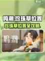 🎮鸣潮珍珠草位置全攻略！快速找到✨