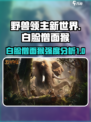 野兽领主新世界白脸僧面猴强吗介绍