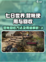 七日世界营帐怎么收回介绍