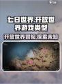 七日世界是开放世界吗介绍