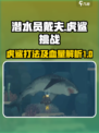 潜水员戴夫虎鲨打法🔥虎鲨血量大揭秘🎮