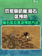 饥荒联机版陨石区在哪里介绍