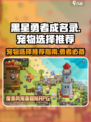 黑星勇者成名录🔥宠物选对战力飙升！💡