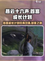 燕云十六声🔥首富成长计划任务全攻略💎