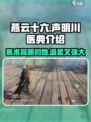 燕云十六声明川医典怎么样介绍