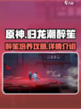 归龙潮醉笙培养攻略✨带你玩转游戏🔥