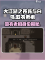 大江湖之苍龙与白鸟羽衣老祖是谁介绍
