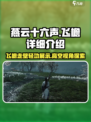 燕云十六声飞檐怎么样介绍