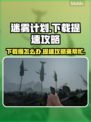 迷雾计划下载慢？提速秘籍来了！⚡🔥