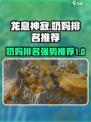 龙息神寂：最强奶妈排行榜🔥游戏必备！