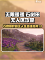 无限暖暖石树田村到无人区怎么走介绍