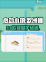 🎣心动小镇秒钓欧洲鲤！