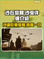 沙丘觉醒：掌控沙虫，称霸沙漠🔥🎮