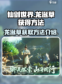 仙剑世界龙涎草怎么获得介绍
