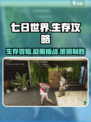 七日世界怎么玩介绍