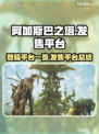 阿加斯巴之塔🔥超全登陆平台大揭秘！🎮