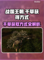 战国王朝⚡干草获取攻略！快速收集方法💡