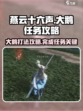 燕云十六声大鹅任务攻略介绍