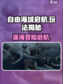 🌊自由海域启航爆🔥攻略！🎮