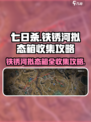 七日世界🔥铁锈河拟态箱全收集攻略📍