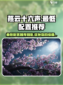 燕云十六声最低配置怎么搭配介绍